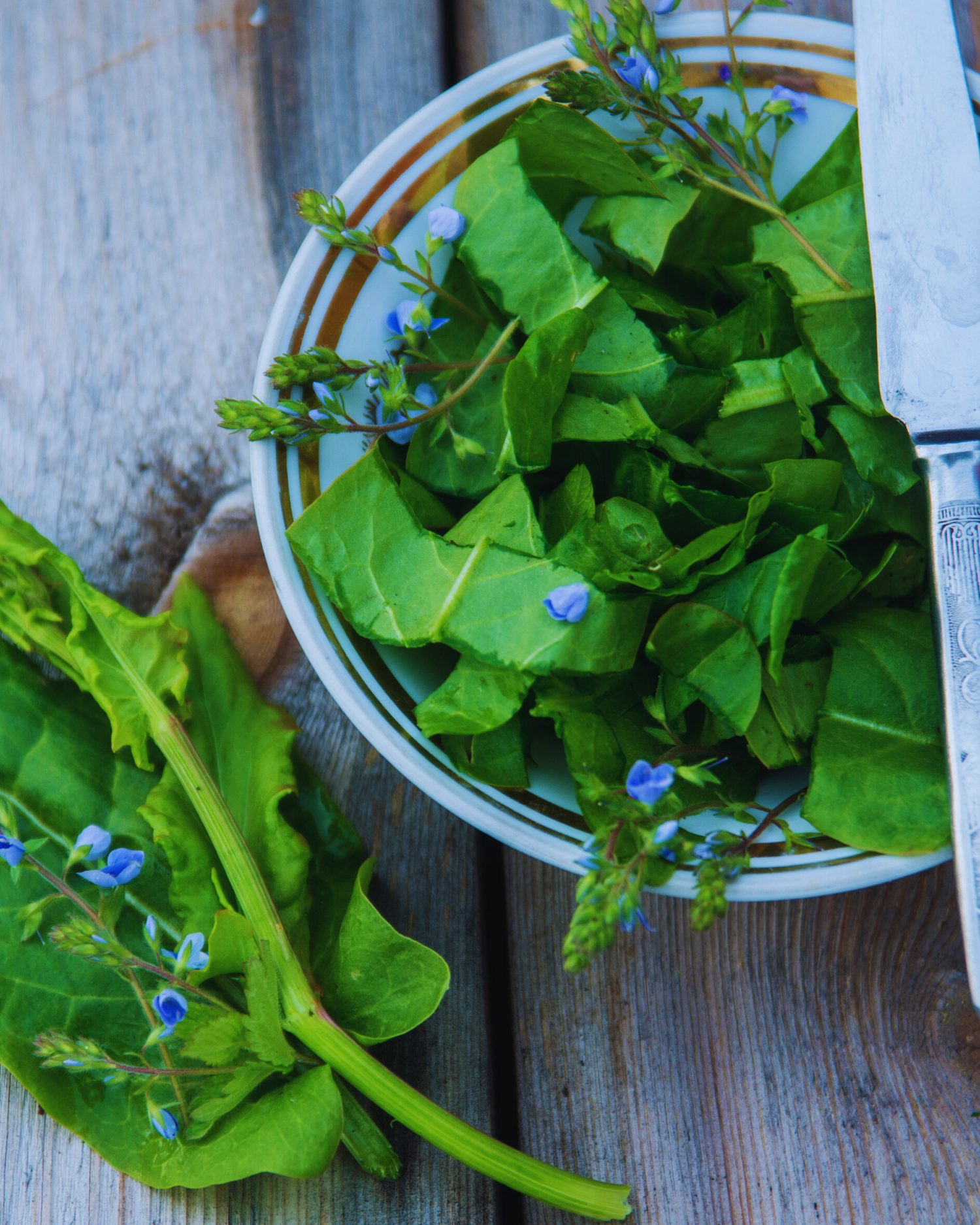 „Frischer Wildkräutersalat mit essbaren Blüten – leichte Beilage voller Naturaromen“