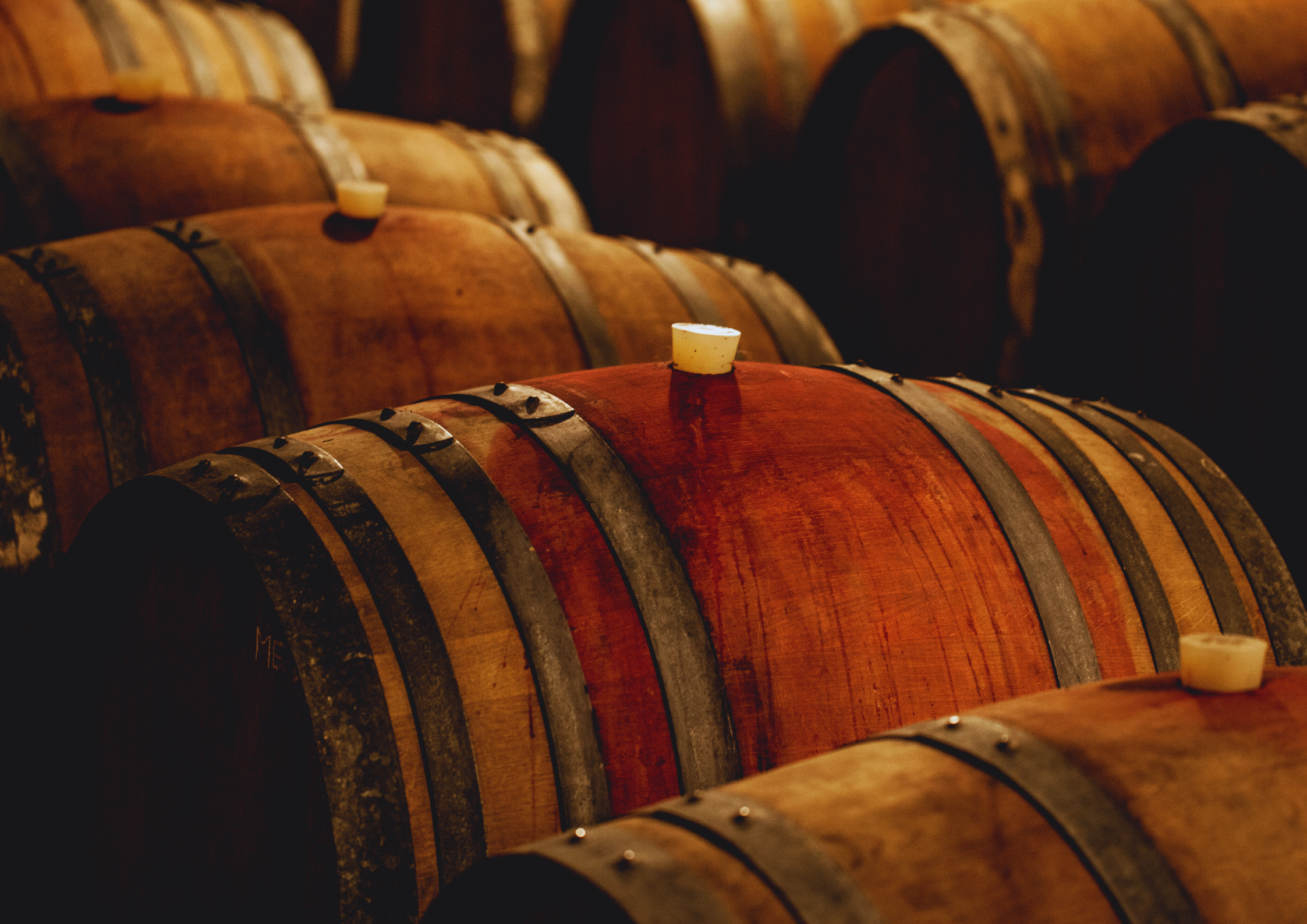 Holzfässer im Weinkeller zur traditionellen Reifung von Wein