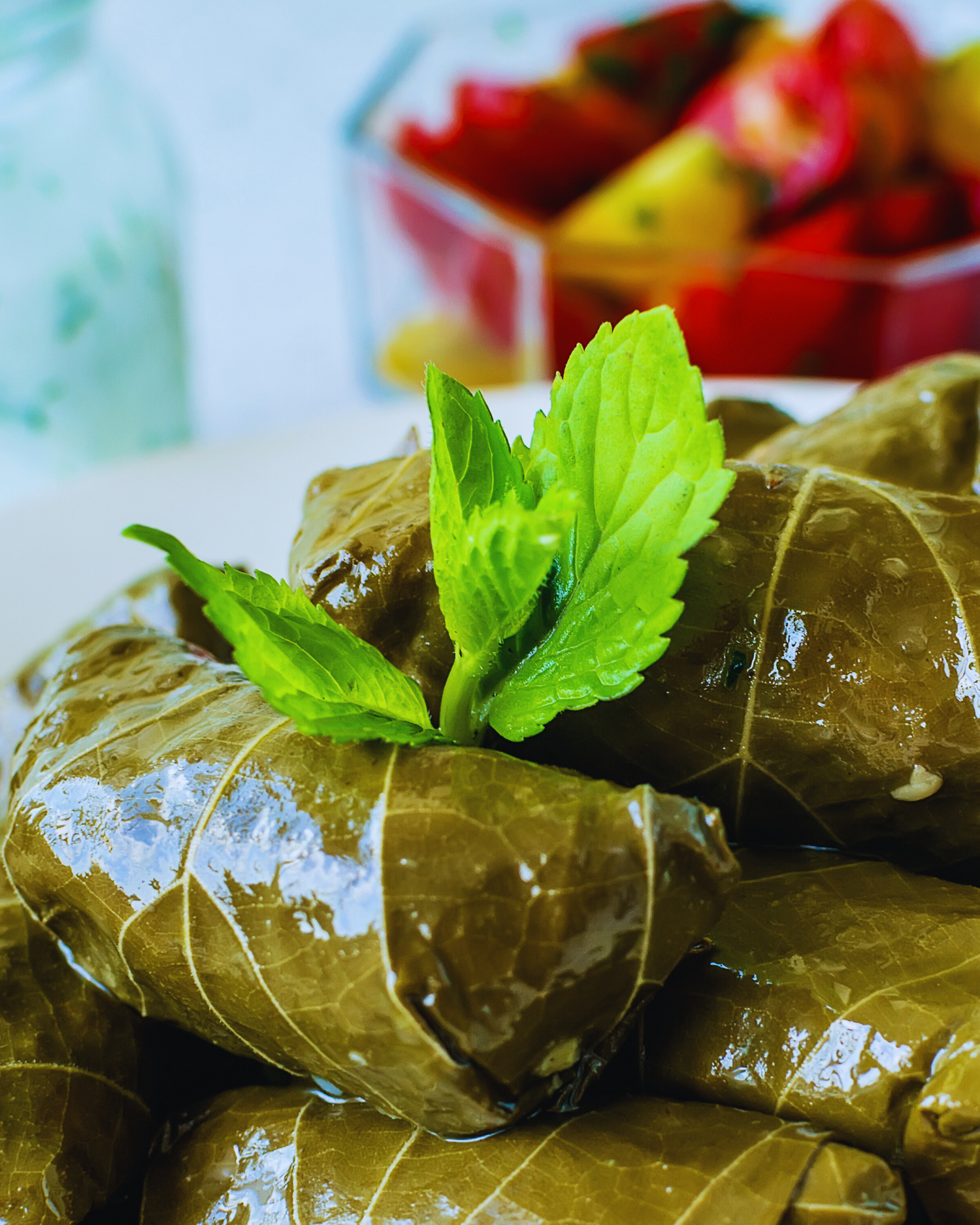 Gefüllte Weinblätter mit Reis und Kräutern – klassische mediterrane Vorspeise