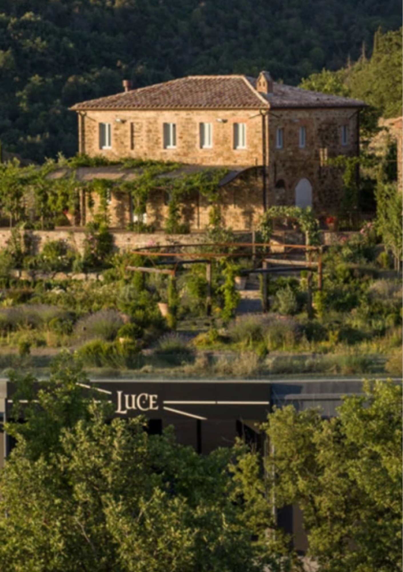 Tenuta Luce