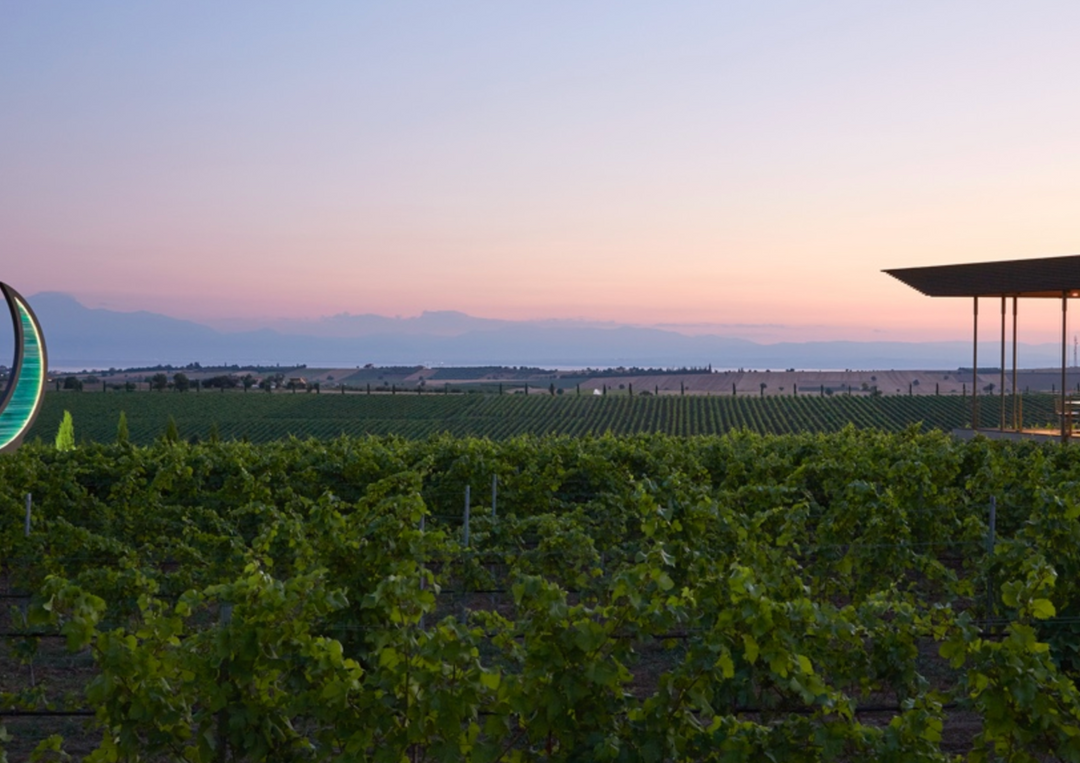 Weinberg bei Sonnenuntergang mit moderner Architektur und Blick auf ferne Berge.
