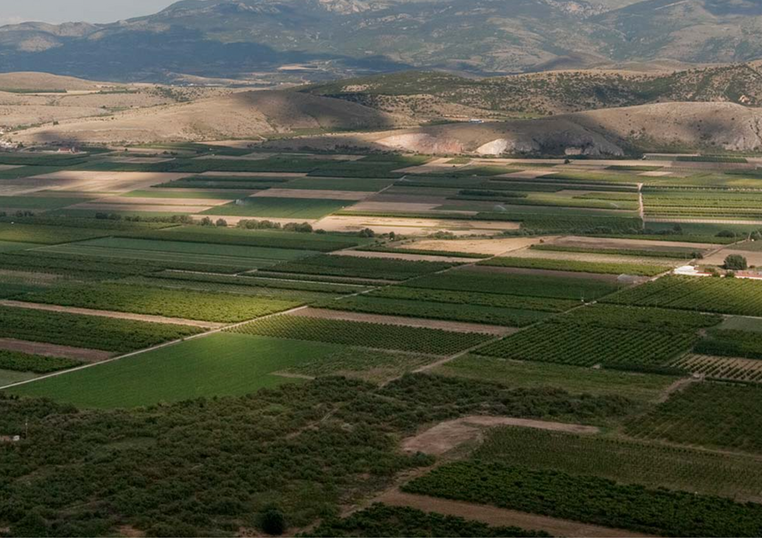 Blick auf grüne Felder und Hügel unter wechselndem Sonnenlicht.
