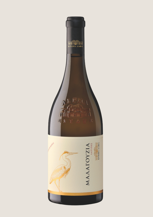 Alpha Estate Ecosystem Malagouzia Single Block “Latipes”
