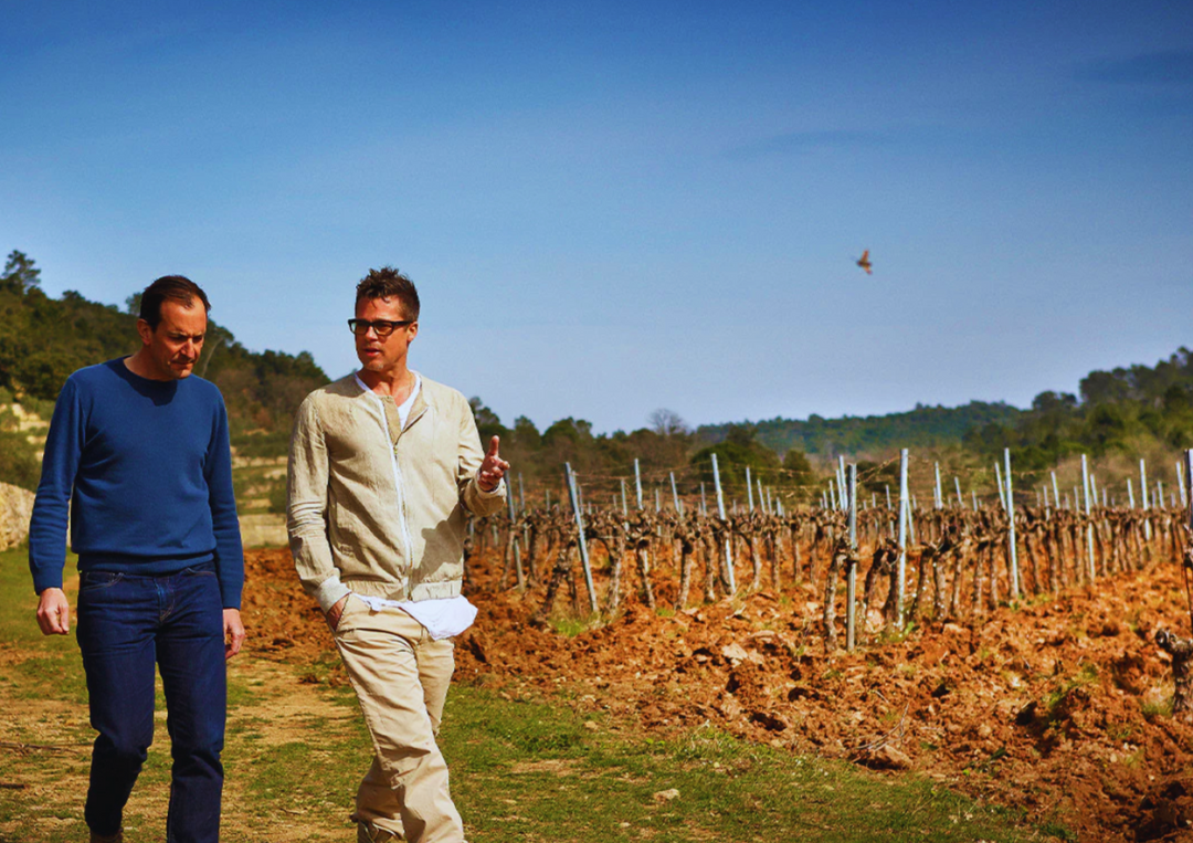 Zwei Männer im Gespräch bei einem Spaziergang durch einen Weinberg im Frühling.